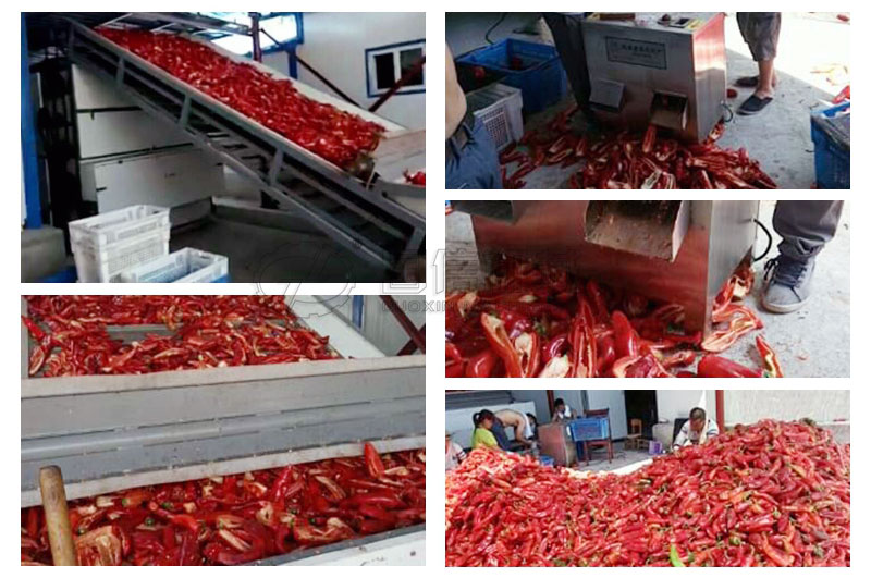 新疆伊寧用戶烘干新疆大板椒現場