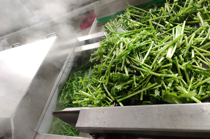 不銹鋼制作的漂燙蒸煮機,四周雙層保溫